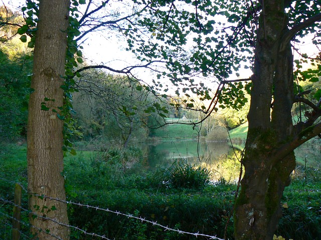 toadsmoor valley