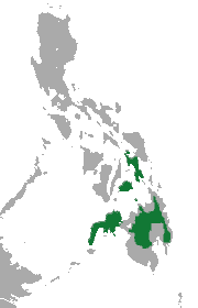 Distribución de la musaraña de Mindanao