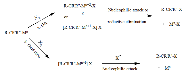 Nuc. Абс. Рис 2.2.png