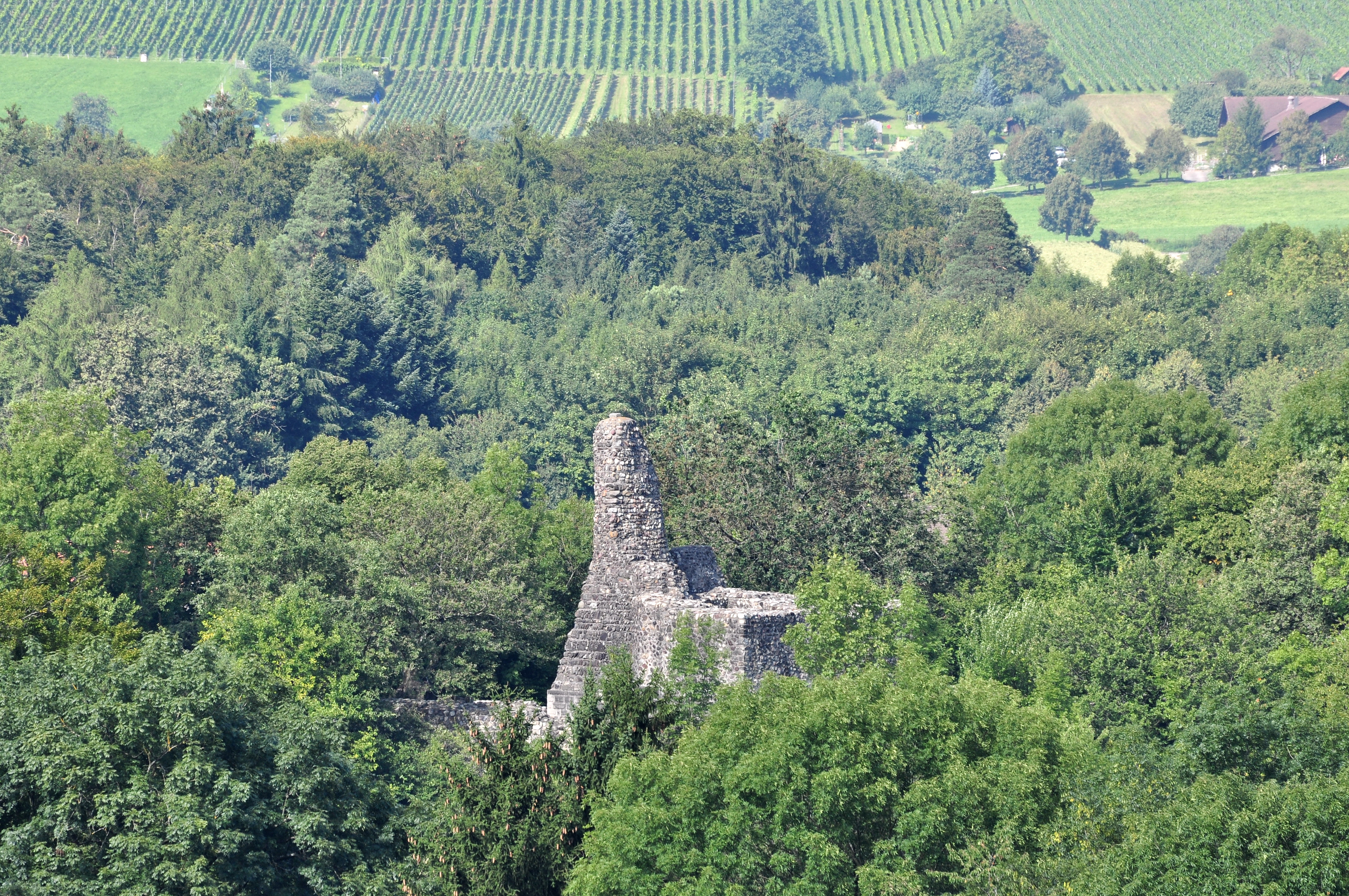 FileAltburg (Regensdorf)  Ruine Altburg 20100822 161032.JPG