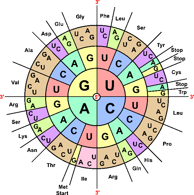 Domain (Biology)  Biology Dictionary