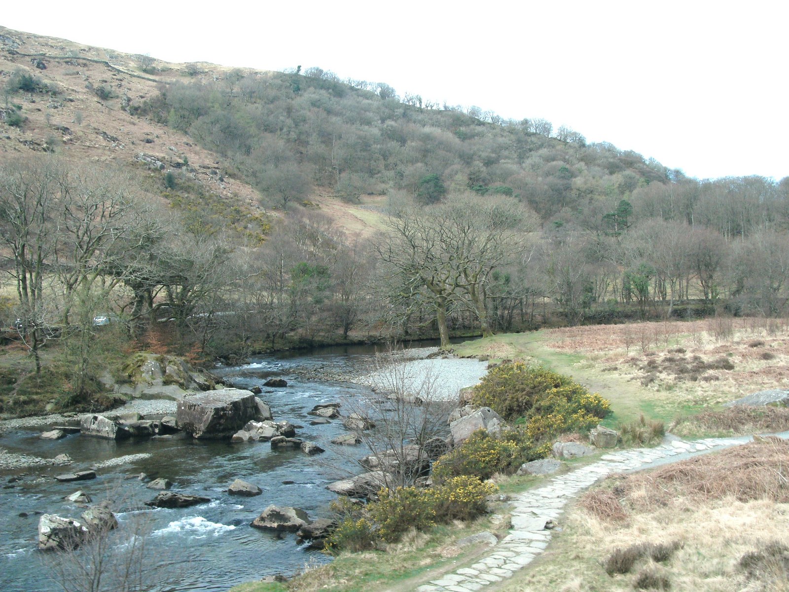 Afon Glaslyn Floodplain