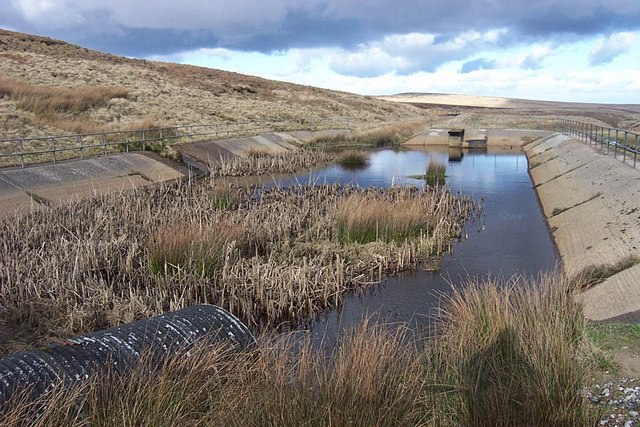 English: Catchment Pond at Lads Grave The pond...