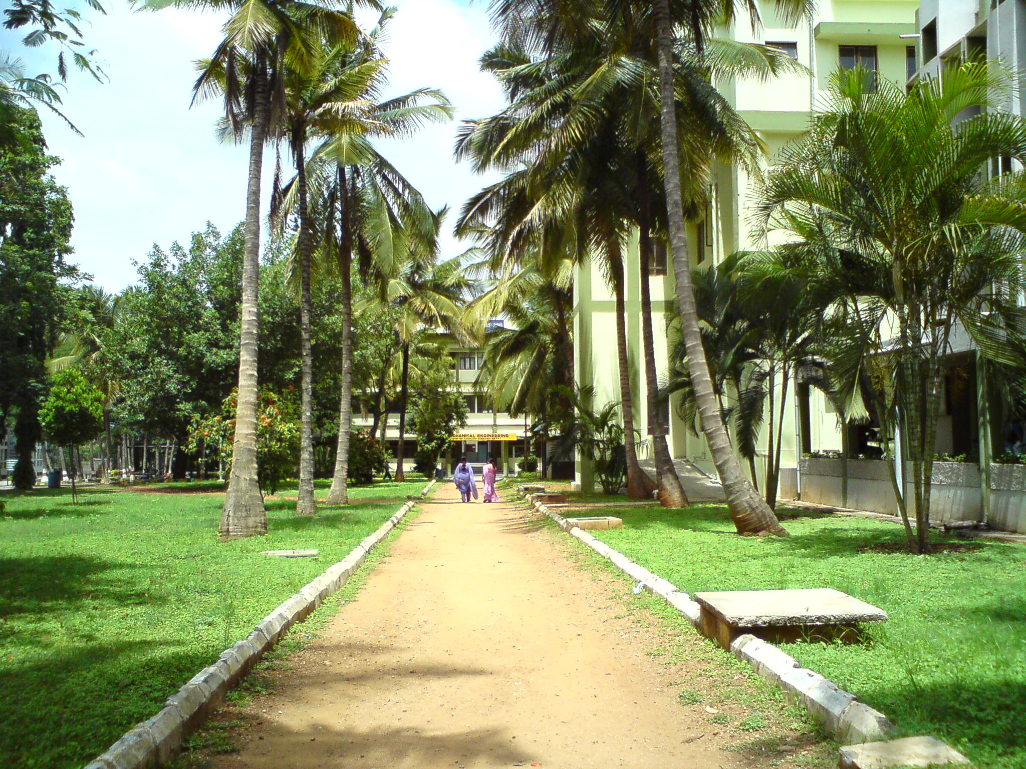 rv college