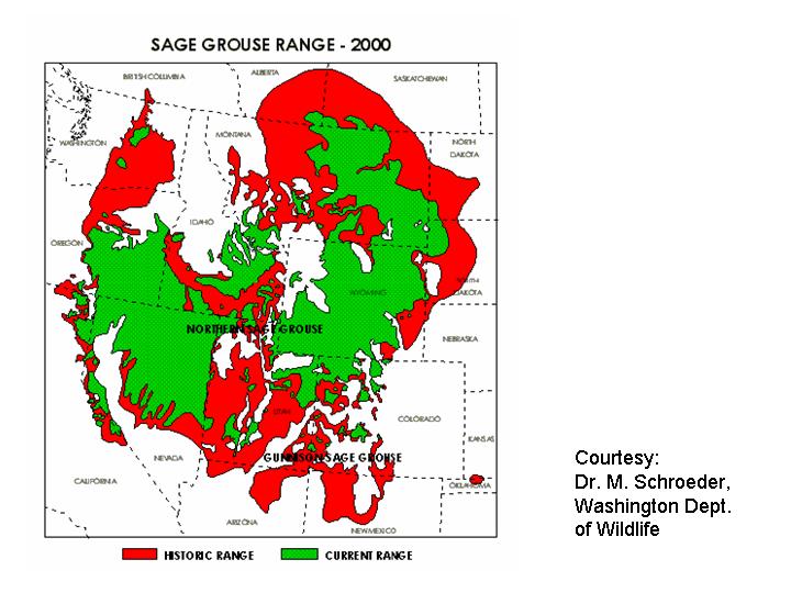 http://upload.wikimedia.org/wikipedia/commons/3/34/Map_sagegrouse_range2000.JPG