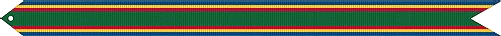 Знак отличия отряда ВМС США (USMC) .png