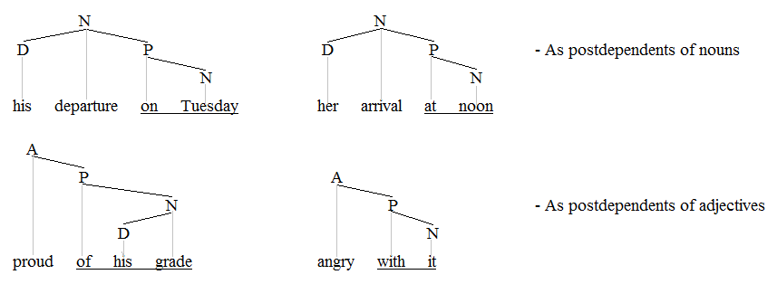 PPs on nouns and adjectives