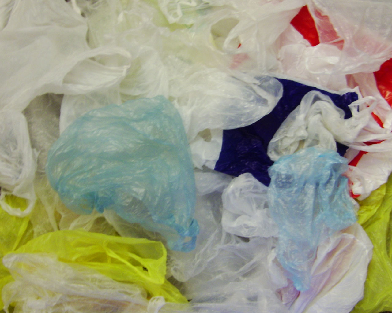 plastik bag