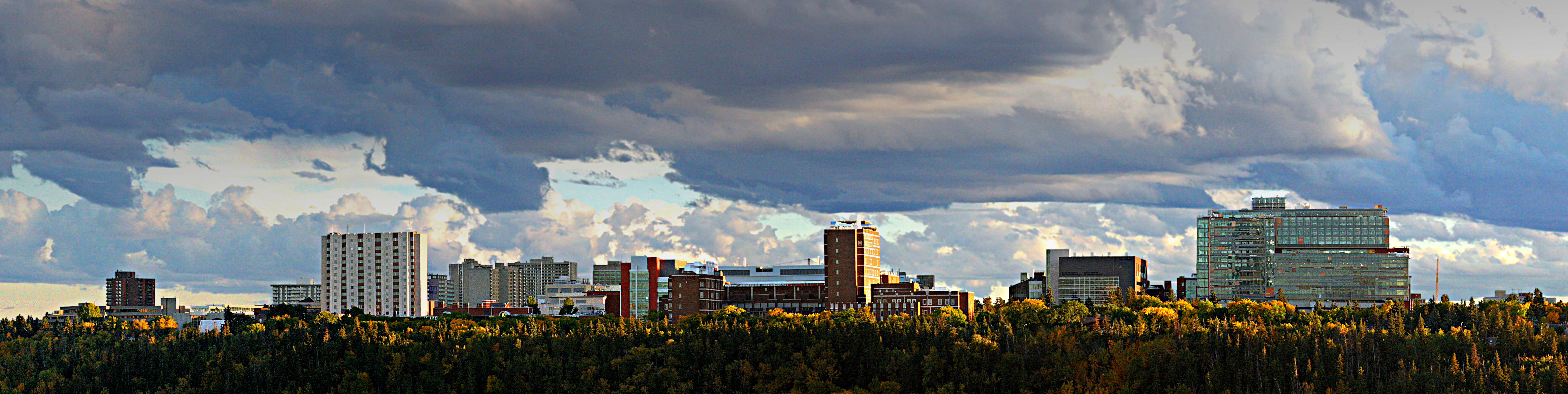 Rural alberta edmonton midget aaa