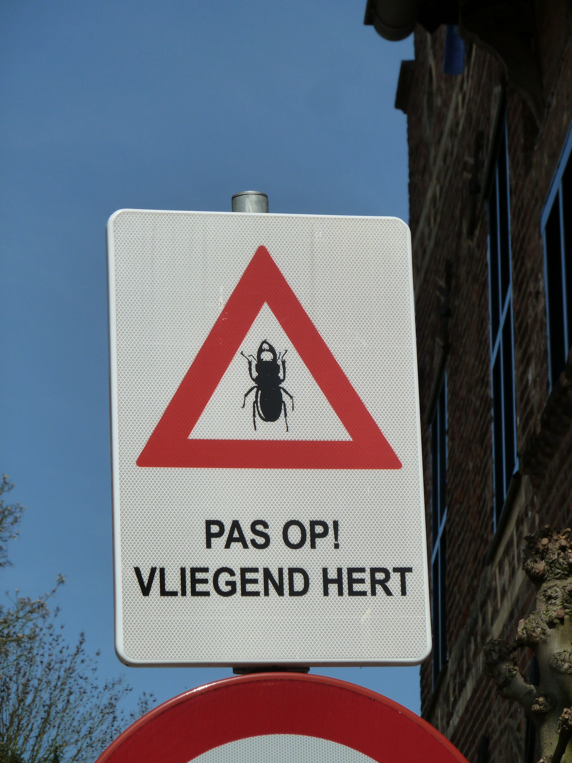 Stag beetle traffic sign