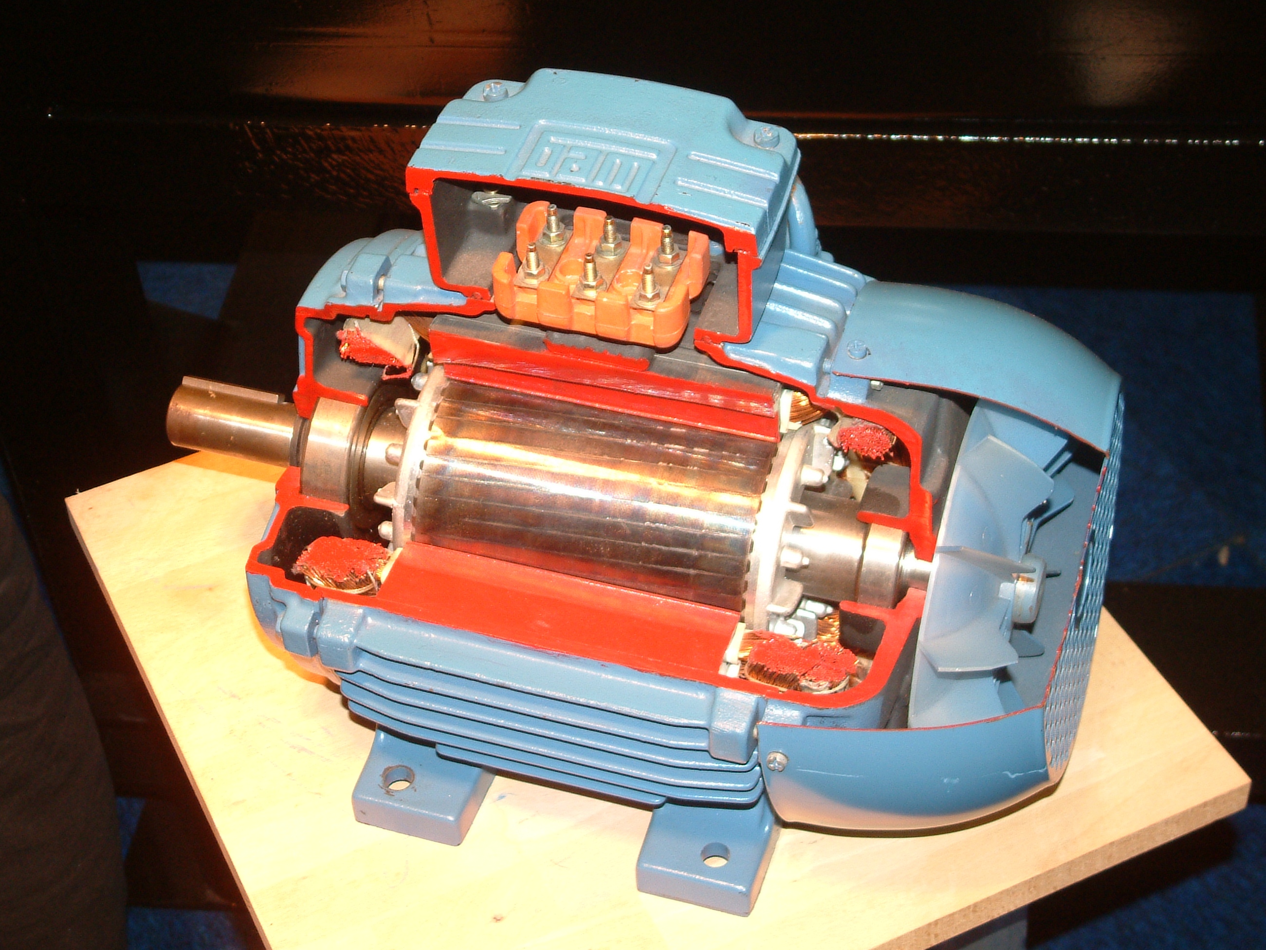 Electric Motor