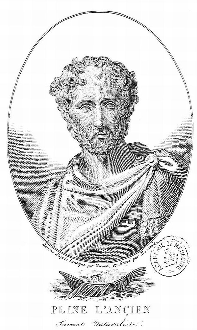 Elképzelt portré Idősebb Pliniusról