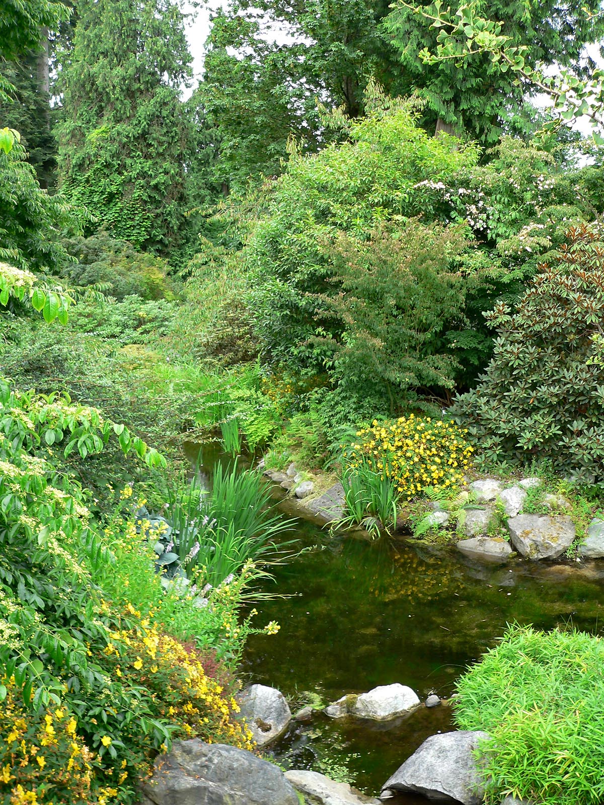 File:UBC Botanical Garden