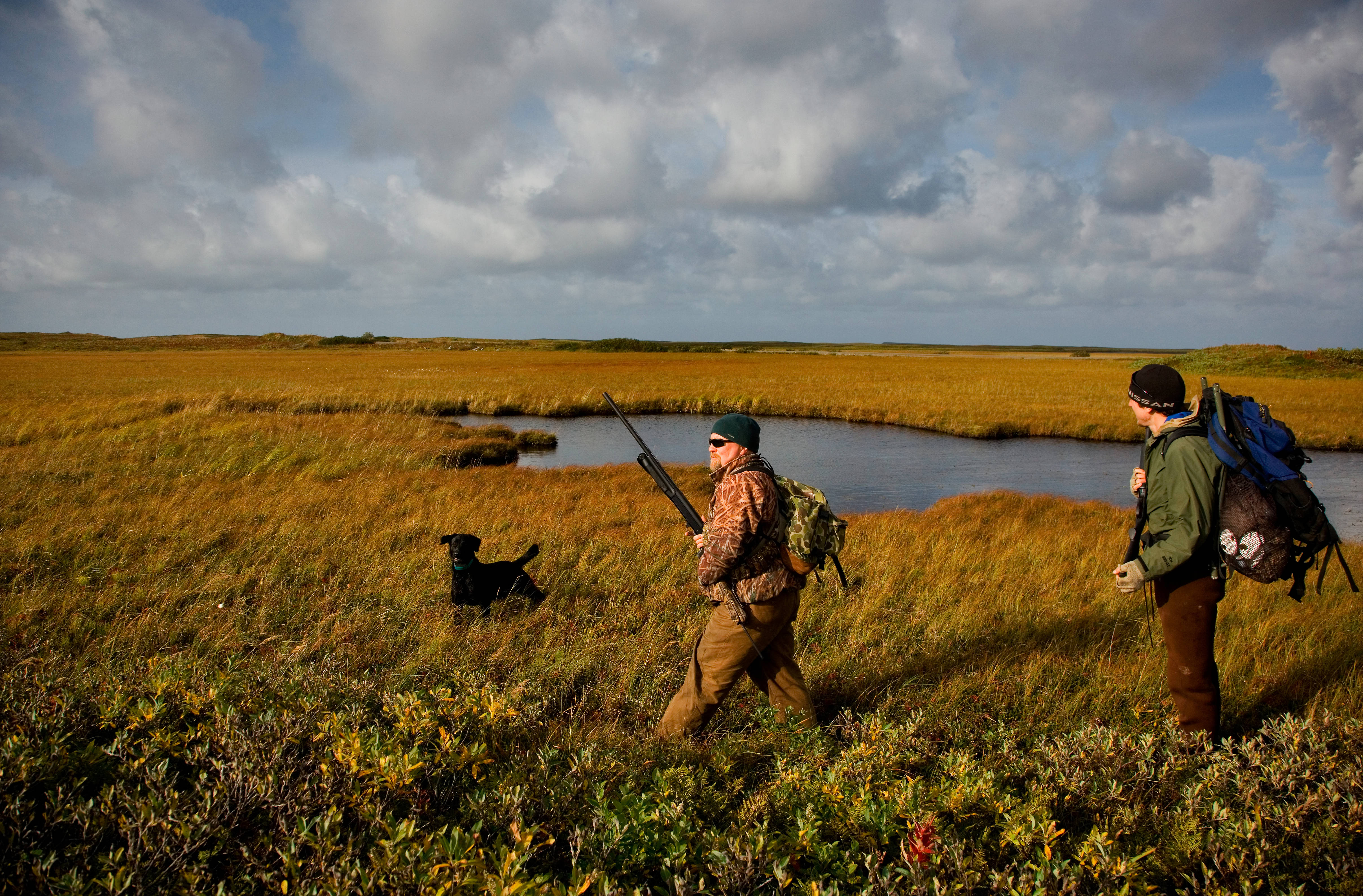 Texas hunting license with duck stamp