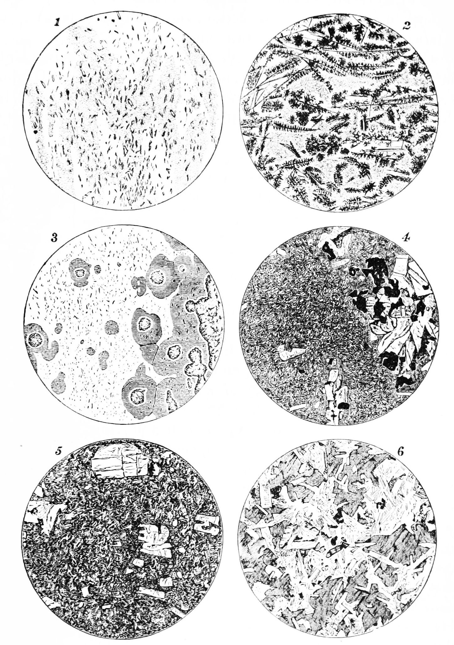 File:PSM V20 D363 Sections of igneous rocks.jpg - Wikimedia Commons
