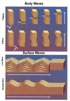 earthquake waves diagram. shows how body waves,