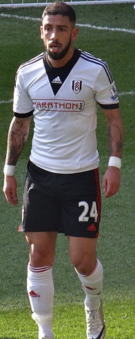 Ashkan Dejagah, Fulham.jpg