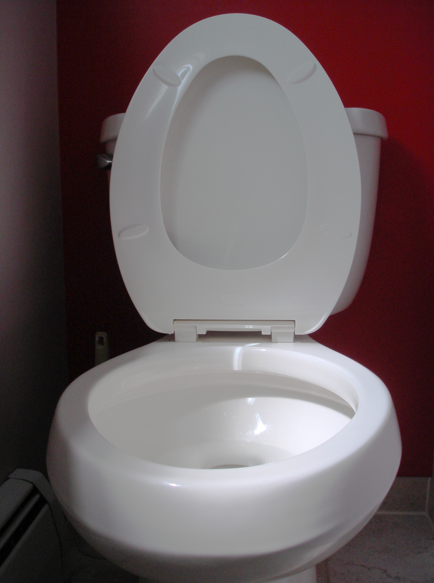 File:Toilet seat up.JPG