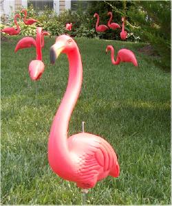 Plastic flamingos in a yard.