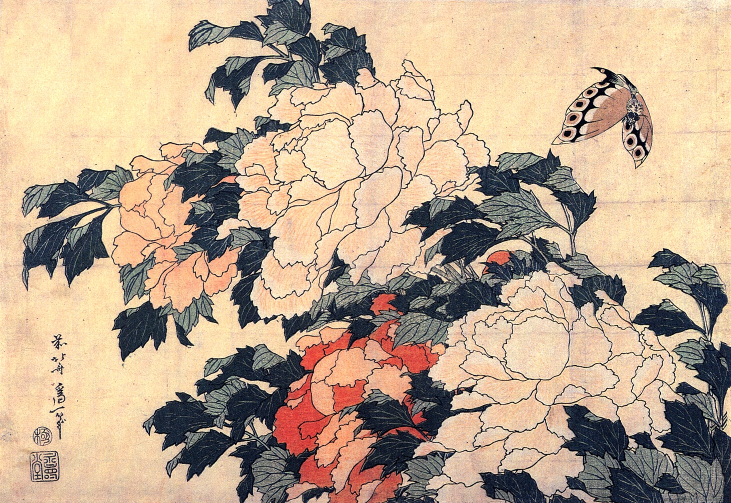 Poenies and butterfly, Katsushika Hokusai (葛飾北斎) (1760–1849)