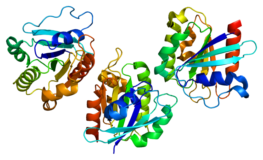 Poly Adp Ribosylation Protein Diet