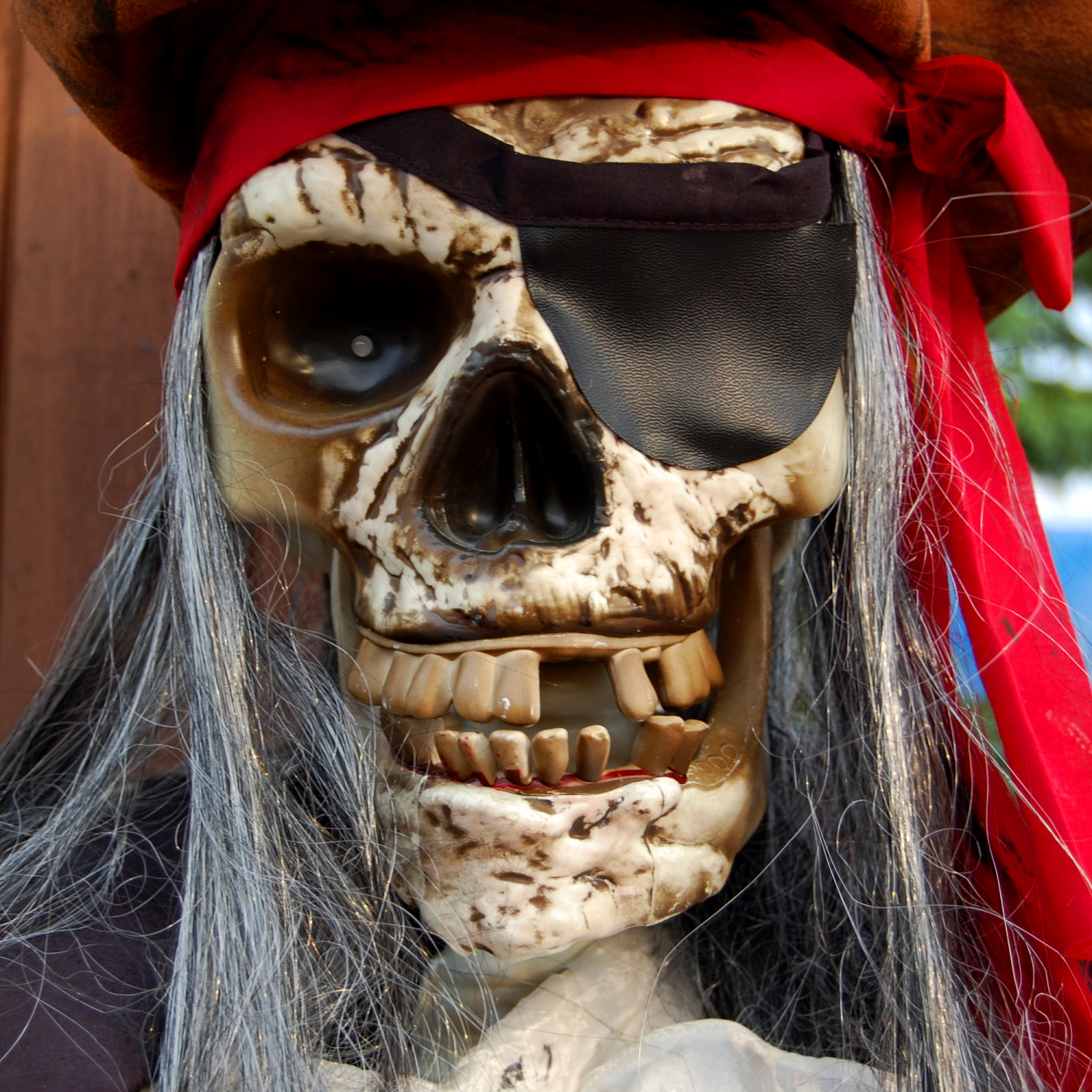 Piratengesicht als Skelett - Quelle: Wikimedia