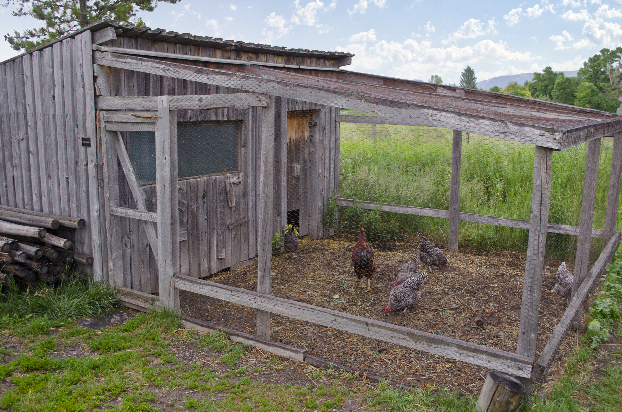 File:Chicken coop - Tinsley Living Farm - Museum of the ...