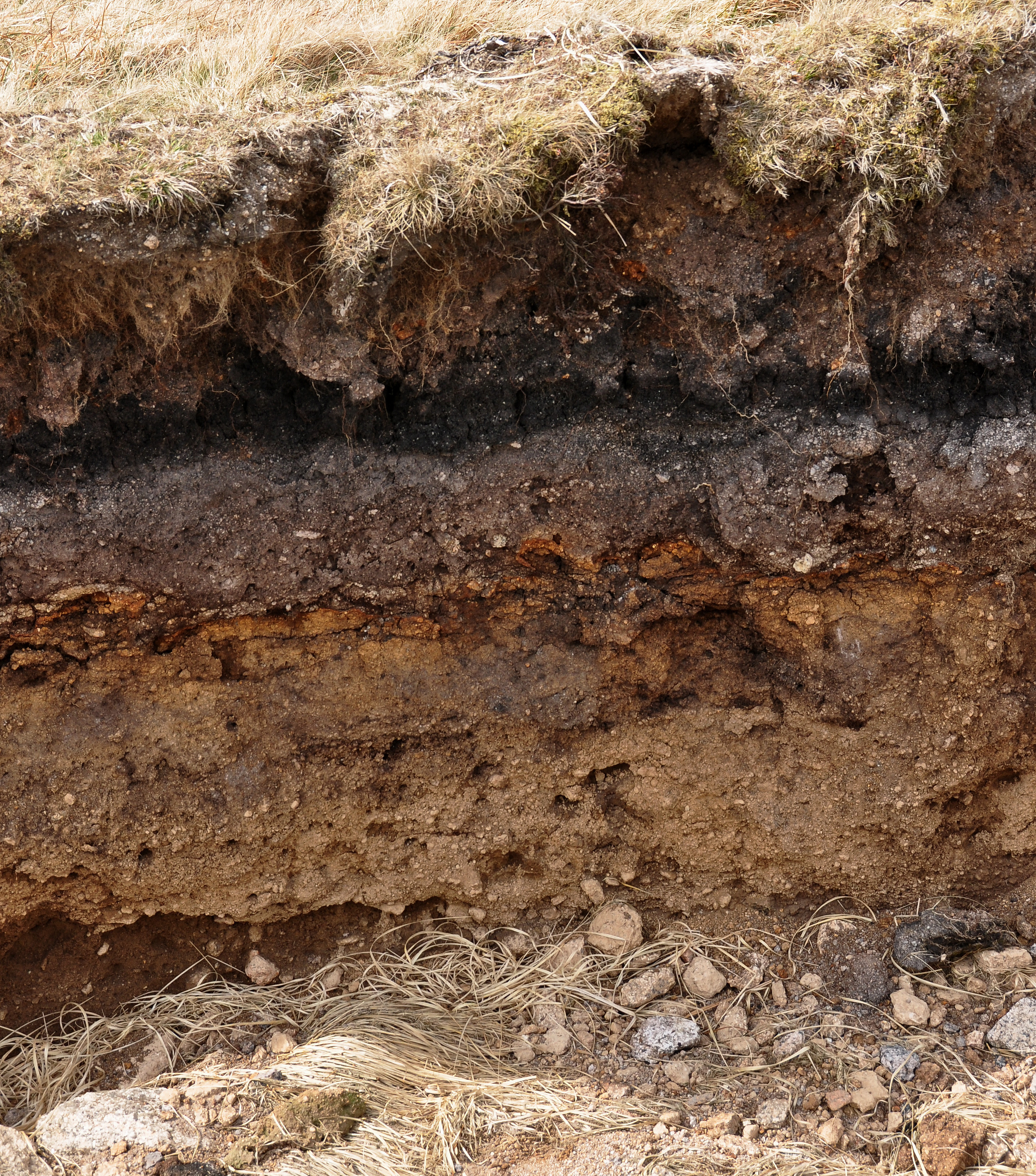 File:Layers in soil on Dartmoor.jpg