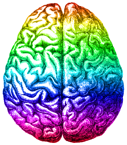 Ficheiro:Rainbow brain, Aug 2014.png