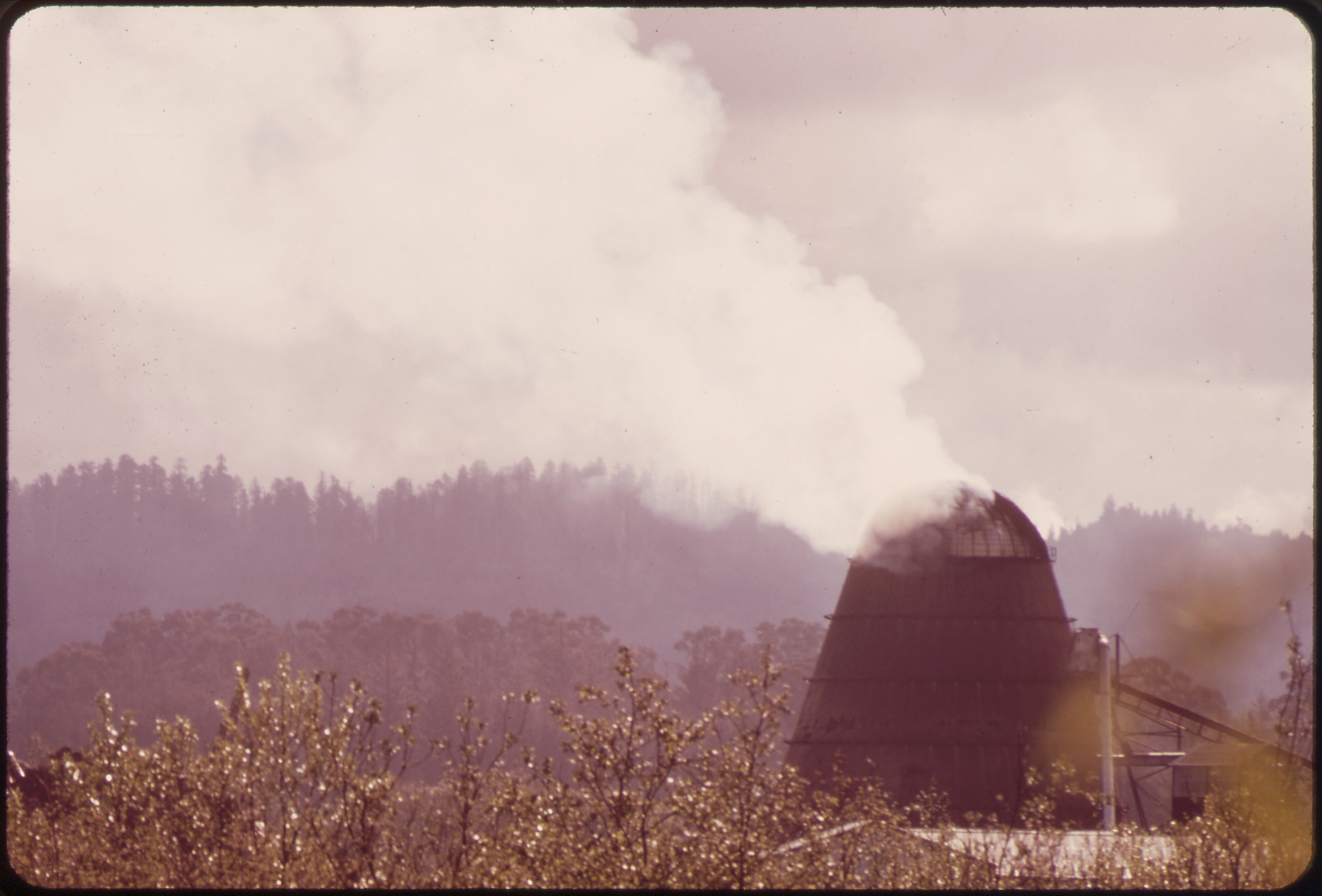 Burning Wood Chips