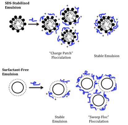 shop holomorphic vector bundles over compact complex surfaces