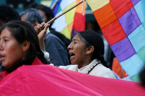 Protester with wiphala taking part in a demonstration supporting the Bolivian social movements. Buenos Aires (Argentine). Photo: Vera Bolkovic