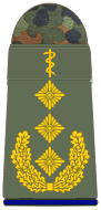 SanH 331-Generaloberstabsarzt- (Humanmedizin) .png