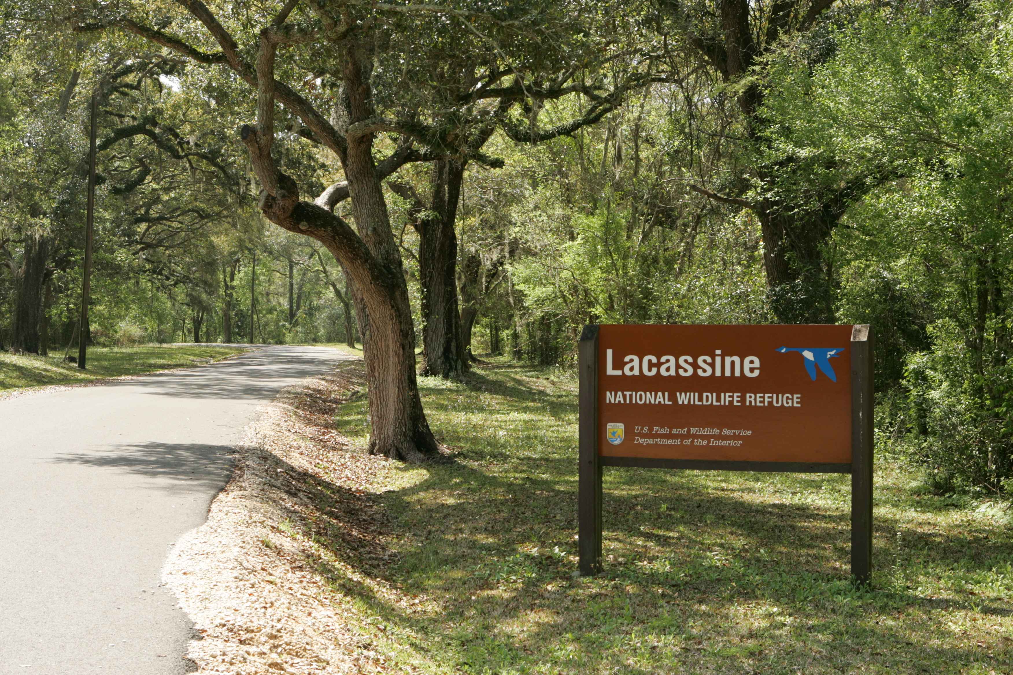 Description Entrance to Lacassine national wildlife refuge.jpg