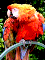 Пример 6-7-6-уровневой палитры RGB image.png