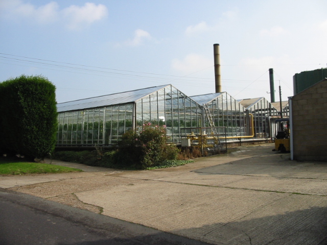 Glasshouses for tomato production - geograph.org.uk - 583668