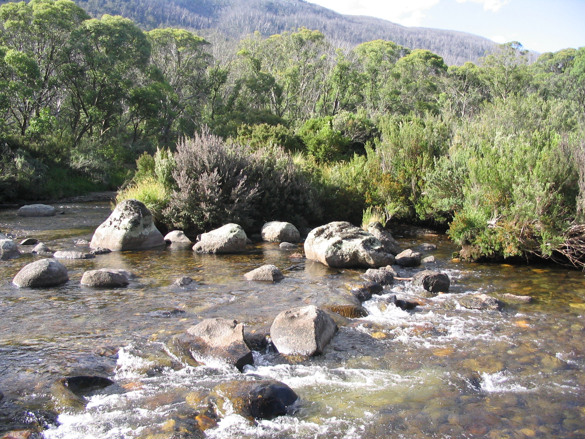 river and rocks