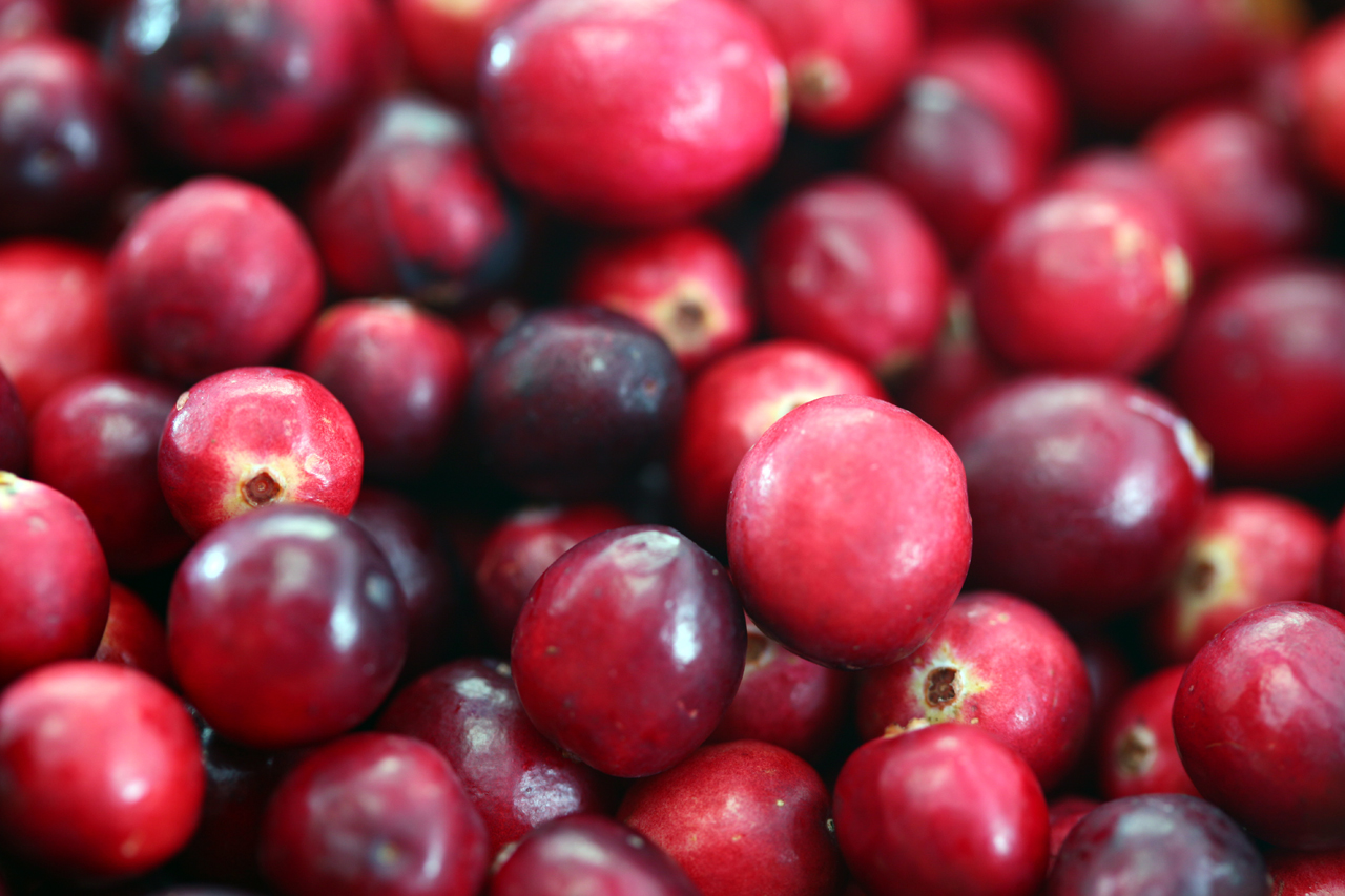 English: cranberries grown and harvested in Ma...