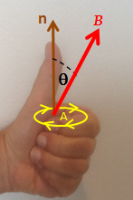 A Left Hand Rule for Faraday's Law. The sign of DPhB, the change in flux, is found based on the relationship between the magnetic field B, the area of the loop A, and the normal n to that area, as represented by the fingers of the left hand. If DPhB is positive, the direction of the emf is the same as that of the curved fingers (yellow arrowheads). If DPhB is negative, the direction of the emf is against the arrowheads. Salu's left-hand rule (magnetic induction).png