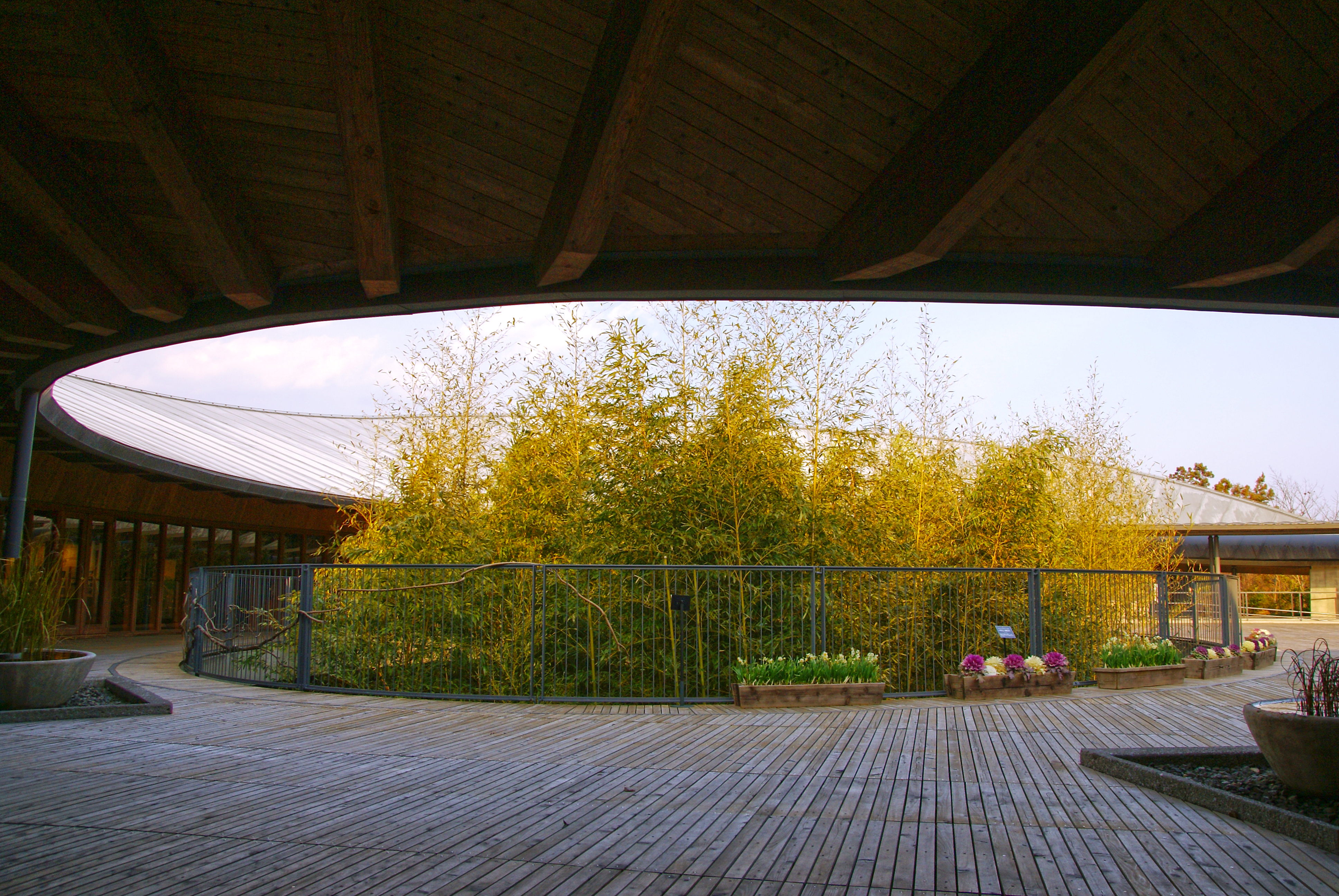 Kochi_Prefectural_Makino_Botanical_Garden01s3872.jpg