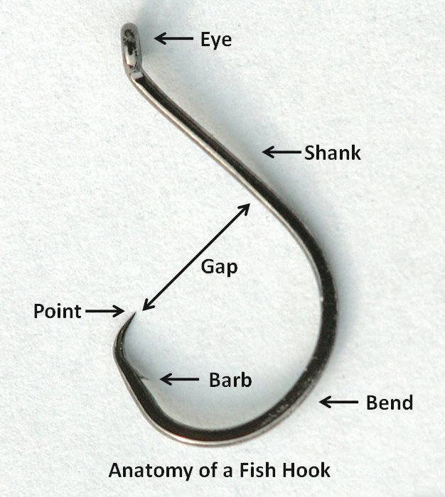 Hooking A Fish. Anatomy of a fish hook