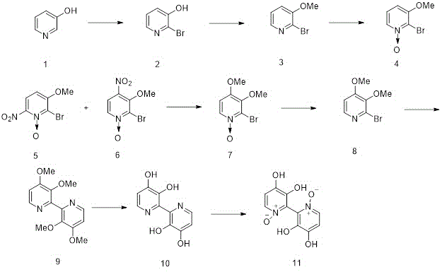 This scheme describes the total synthesis of orellanine done by Tiecco, M., et al. in 1985.