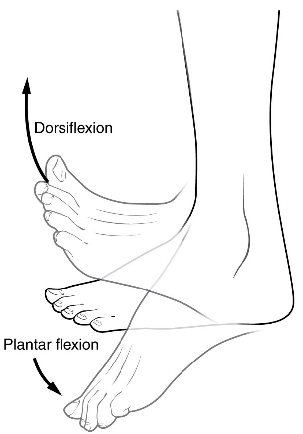 Heel Pain