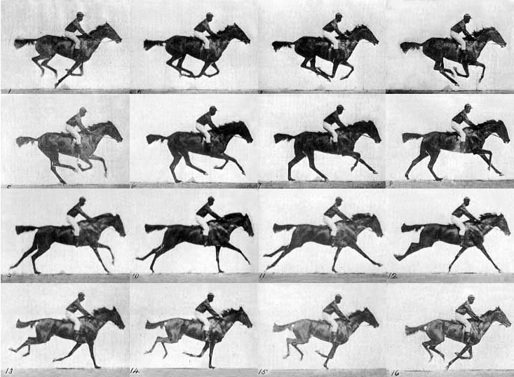 Muybridge horse - multiple frames