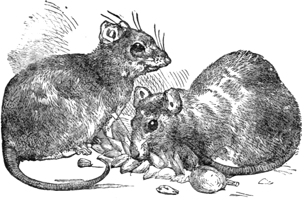 File:Page 147 illustration to Three hundred Aesop's fables (Townshend).png