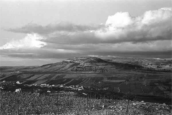 גוש חלב - מראה כללי