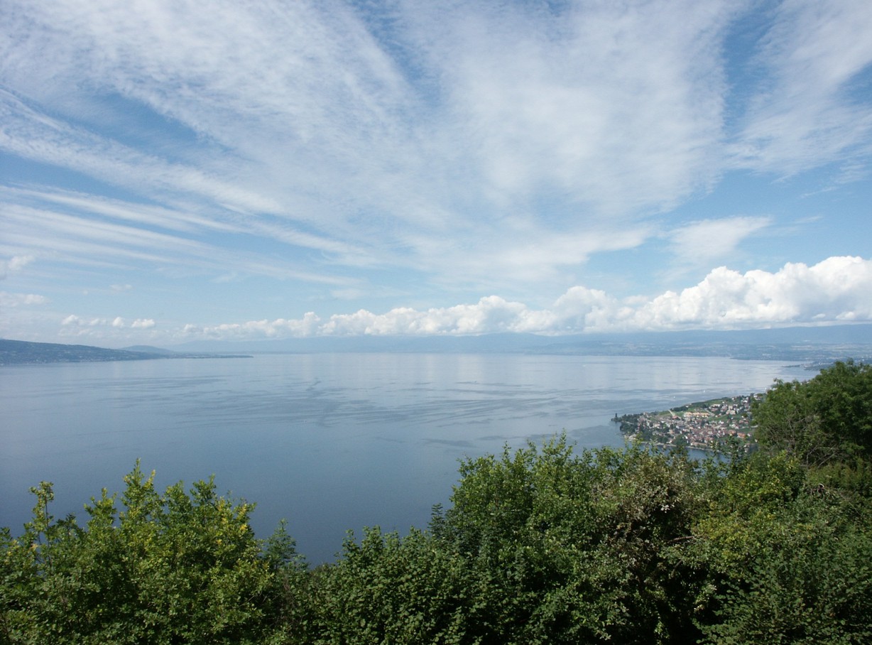 Der Genfer See