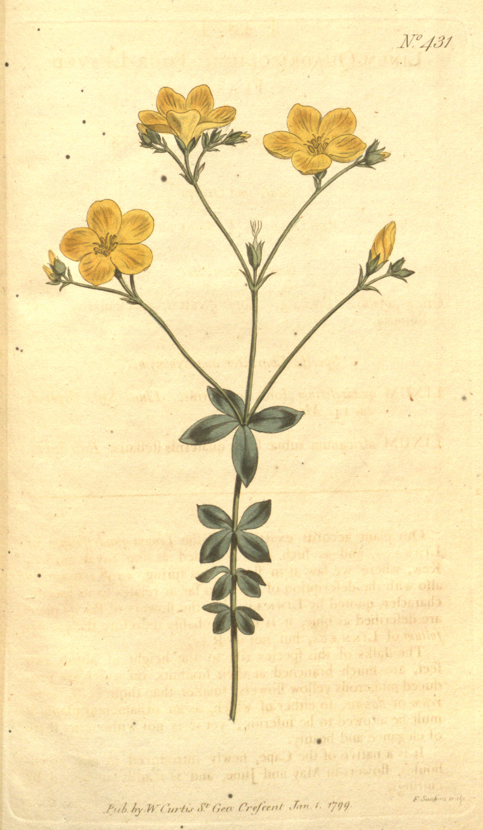 The Botanical Magazine, Volume 12