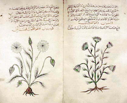 Arabic_herbal_medicine_guidebook.jpeg
