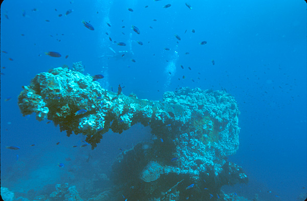 FileBow gun of the Fujikawa Maru wreck Truk Lagoon Micronesiajpg